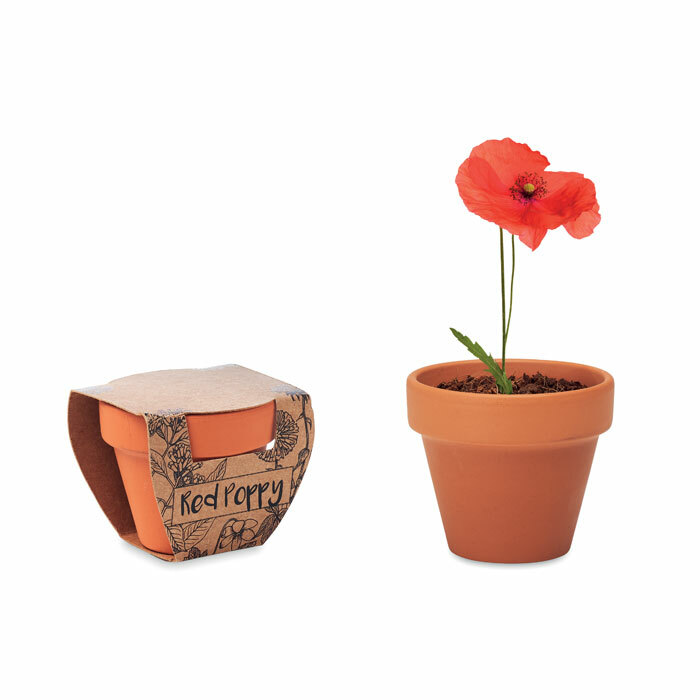 RED POPPY - Terracotta pot 'poppy'