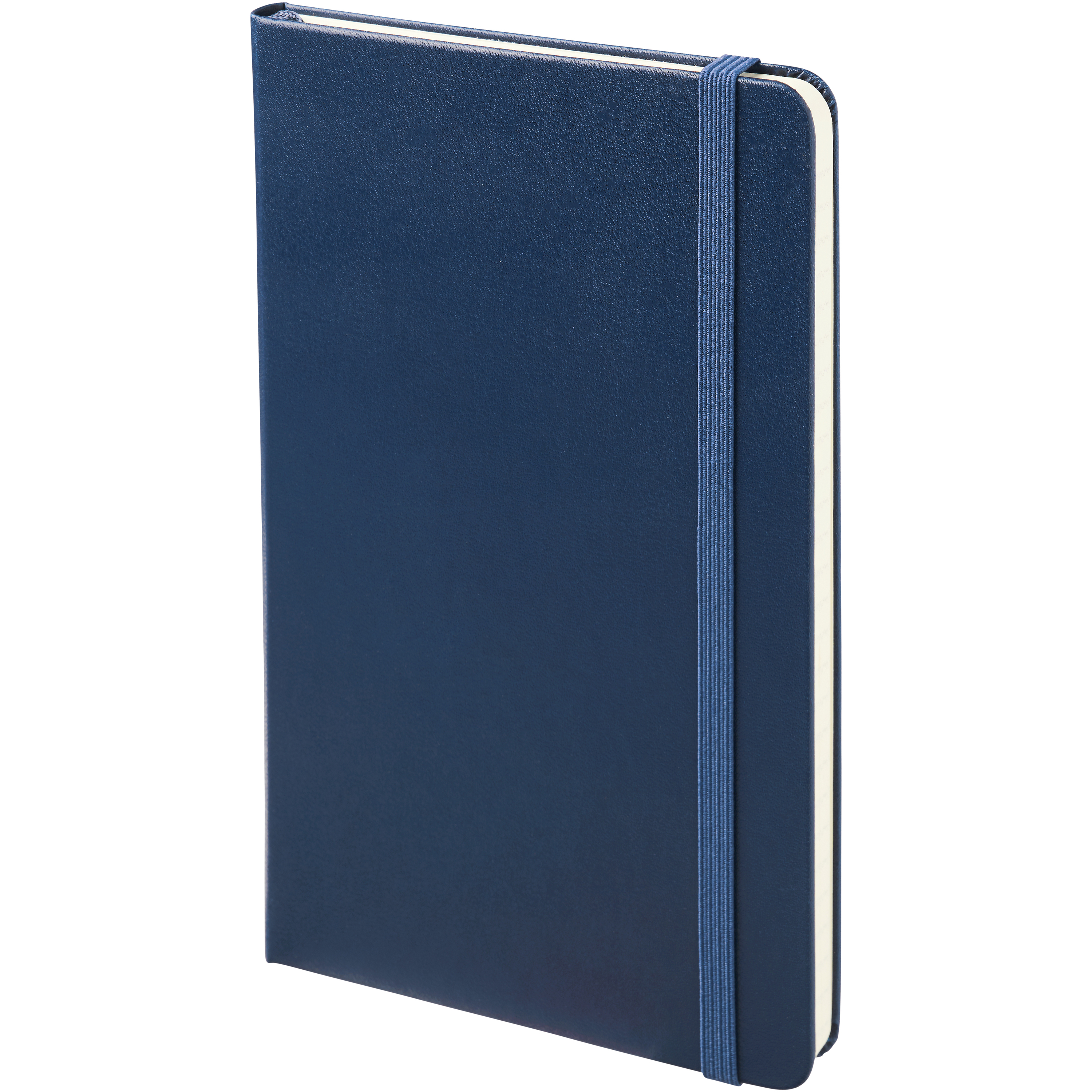 Moleskine Classic L hard cover notebook - ruled