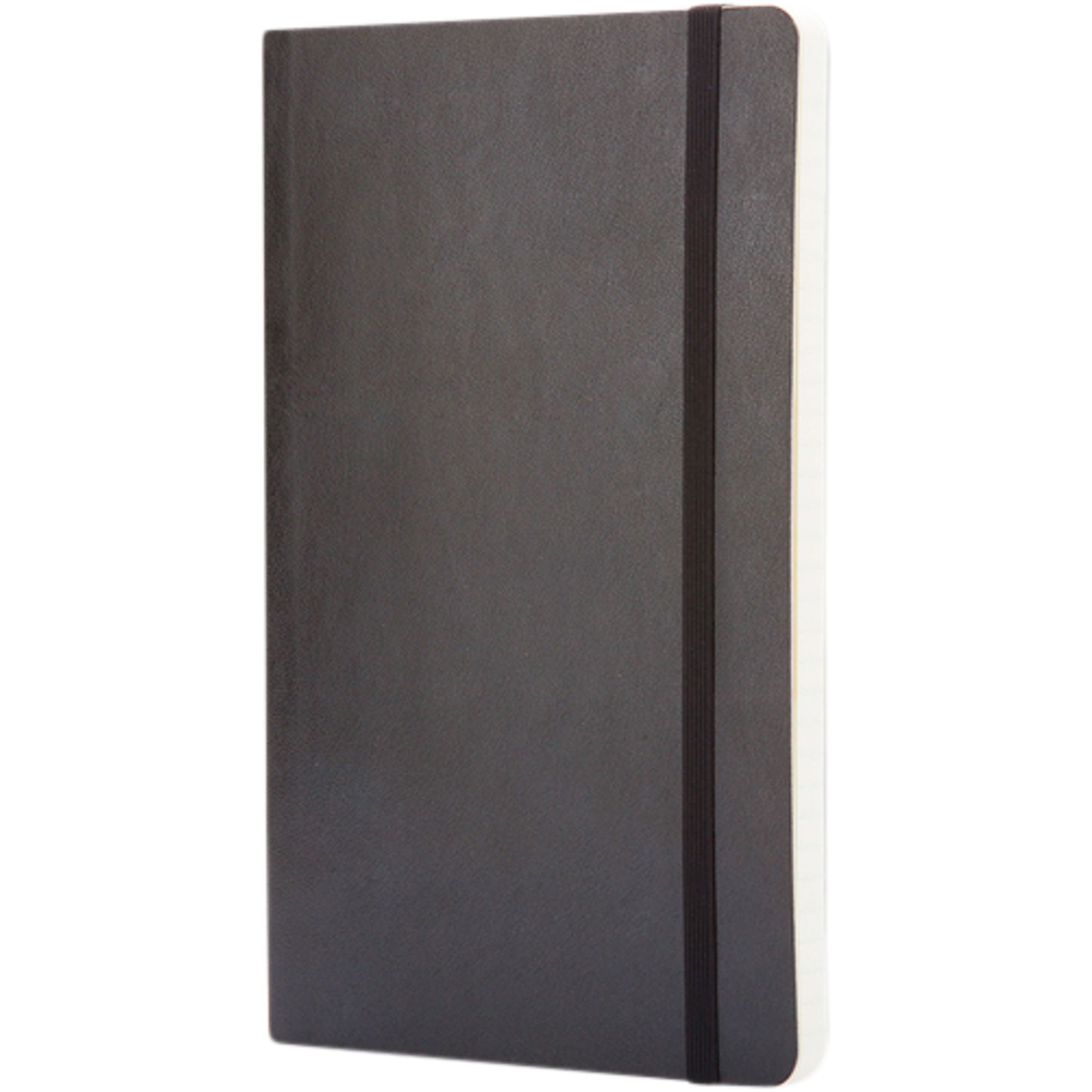 Moleskine Classic L soft cover notebook - squared