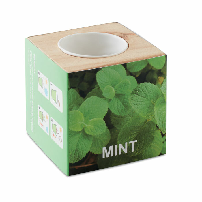 MENTA - Herb pot wood "MINT"