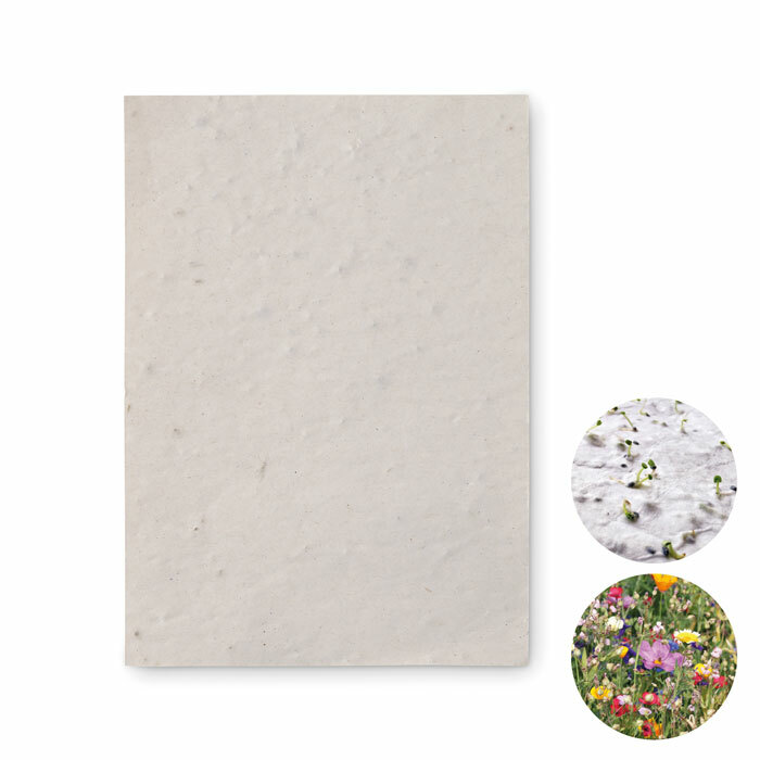 ASIDO - A6 wildflower seed paper sheet