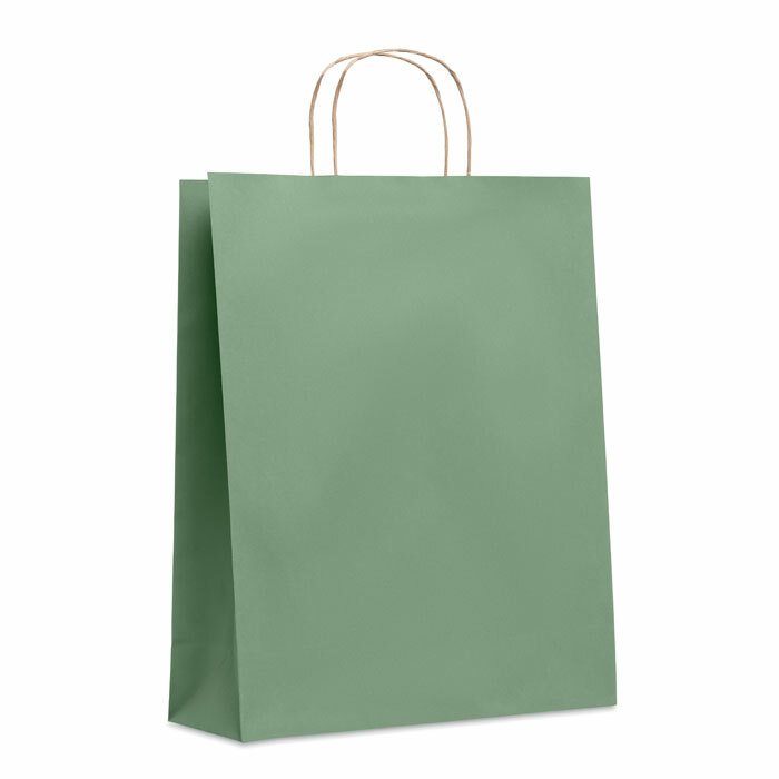 PAPER TONE L - Large Gift paper bag 90 gr/m²