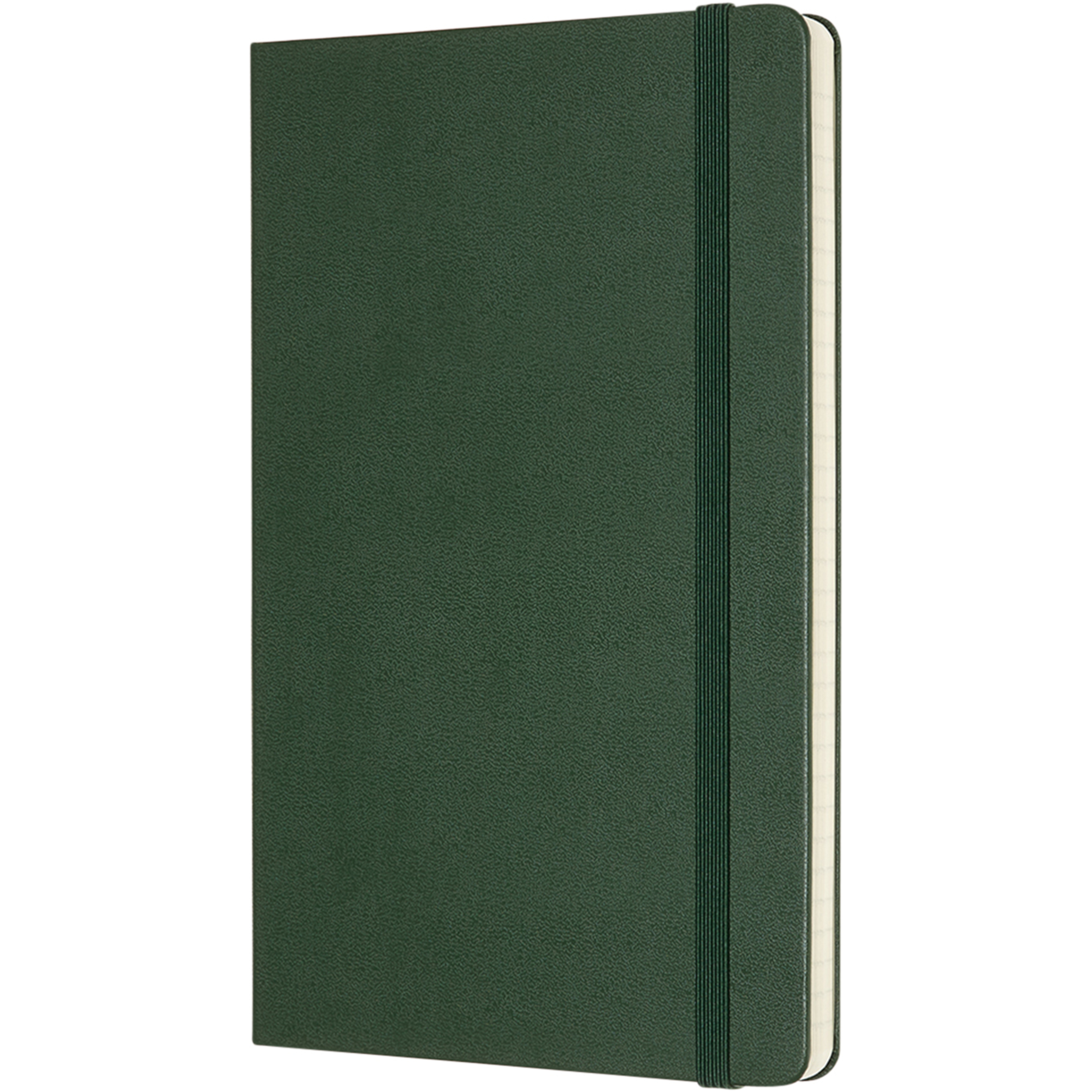 Moleskine Classic L hard cover notebook - ruled