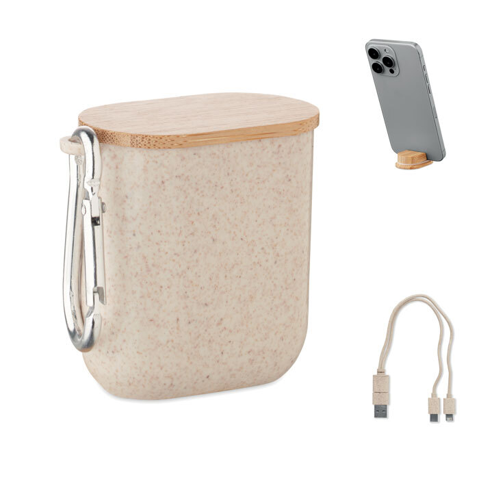 CABSTRA - Cable set in case